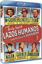 Image of A TREE GROWS IN BROOKLYN (1945) BLU RAY B DOROTHY MCGUIRE, JOAN BLONDELL