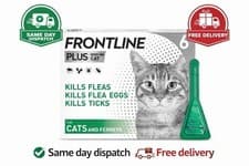 Image of FRONTLINE Plus Flea & Tick Treatment - 6 Pipettes Front Line Cat Plus Spot On.