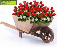 Image of NEW! Garden Wooden Wheelbarrow Flower Planter Ornamental Plant Pot