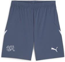 Image of Puma Sport Shorts SFV Shorts Replica 773975