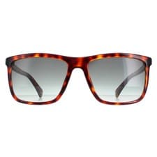 Image of Ted Baker Sunglasses TB1663 Havna 122 Havana Grey Gradient