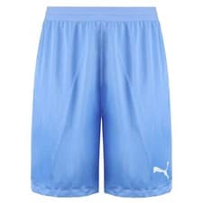 Image of Puma Team Final 21 Mens Light Blue Shorts