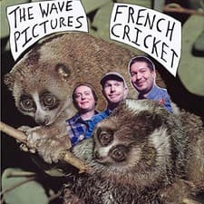 Image of WAVE PICTURES - FRENCH CRICKET - Vinyl Record VL - E3447z