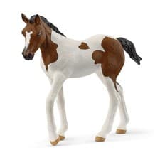 Image of schleich 14899 Paint Horse Foal, from 5 years HORSE CLUB - Figurine, 3 x 8 x 8 c
