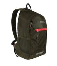 Image of Regatta Jaxon III Kids Daypack – 10L Backpack (Cypress/Diva)