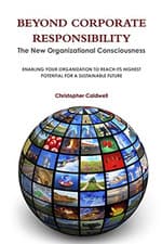 Image of Beyond Corporate Responsibility - Paperback / softback NEW Caldwell, Chris 25/09