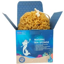 Image of Natural Sea Sponge for Bath and Shower UK Honeycomb Bath Sea Sponge