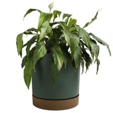 Image of Round Flower Pot Planter with Saucer Indoor Outdoor Two Tone Matt Modern Decor
