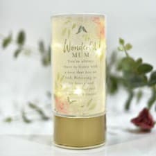 Image of Wonderful Mum Sentiments LED Light Tube, Mother's Day, Birthday Gift, Battery Op