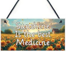 Image of Garden Signs For Outside Sunshine Is The Best Medicine Yard Summer House Signs