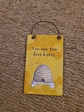 Image of Mini Bee Sign "You are the bees knees" Hanging Wall Plaque New