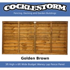 Image of 3ft High x 6ft Wide Golden Brown Fence Panel - Free Delivery Within 70 Miles