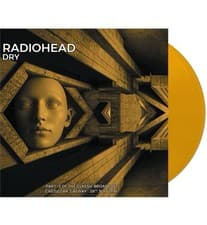 Image of Radiohead Limited Edition Vinyl Record LP