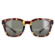 Image of Smith Sunglasses Founder Slim MY3 IN Tortoise Green Polarized