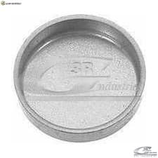 Image of FROST PLUG 84034