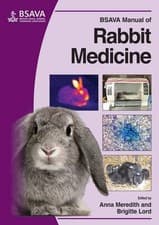 Image of Anna Meredith BSAVA Manual of Rabbit Medicine (Paperback)