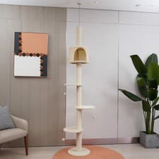 Image of Floor to Ceiling Cat Tree Tower Climbing Activity Center Scratching Post Beige