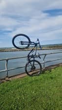 Image of gt sensor st carbon elite mountain bike