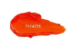Image of Nudestix Nudies Matte All Over Face Blush Color in Picante 7g NEW