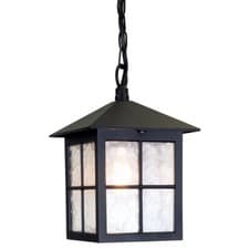 Image of IP43 1 Bulb Chain Lantern Light Black LED E27 100W Bulb External d00199
