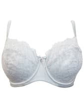 Image of Bra Boux Avenue New Delicate supportive Silver Lace Full Cup Wired Sizes 30-38