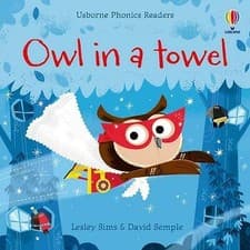 Image of Owl in a Towel by Lesley Sims (Paperback, 2022)