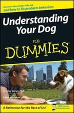Image of Understanding Your Dog For Dummies - 9780471768739