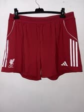 Image of Liverpool FC Mens Shorts XL