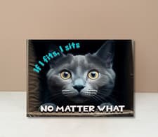 Image of Funny Cat Meme Cat In Box "If I Fits... I Sits" Printed on Sheet Metal Sign