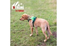 Image of Ancol Extreme Hybrid Dog Harness Built in Extending Lead Adjustable XLarge Green