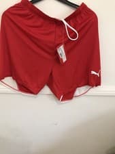 Image of PUMA teamLIGA Football Shorts Mens Size L