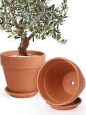 Image of 12" Terracotta Pot Set of 2 with Saucer - Ceramic Clay Planters for Indoor/Outdo
