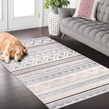 Image of Boho Area Rugs Durable Rugs Pet Friendly Rugs Beige Rugs Modern Area Rugs ZN005