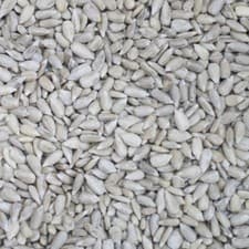 Image of Sunflower Hearts 5Kg Wild Bird Food Bakery Grade Dehulled Kernels Seeds
