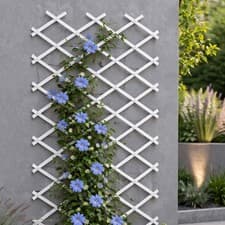 Image of White PVC Plastic Expanding Garden Wall Trellis Expandable Trellises 2m x 1m