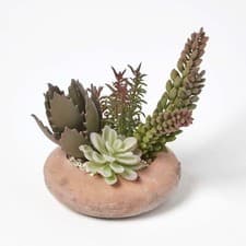 Image of Artificial Succulent Plant Cactus/Cacti in Decorative Pot For Home/Office Décor