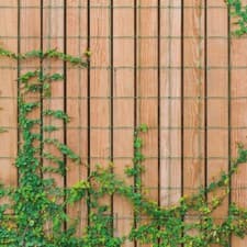 Image of Garden Netting Outdoor Mesh Net Trellis Support for Climbing Plants 1.7 x 4M