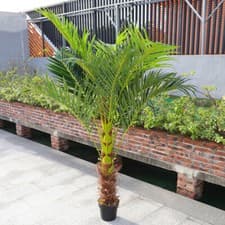 Image of 5ft 6ft Artificial Palm Tree in Pot Fake Plants Outdoor Garden Home Office Decor