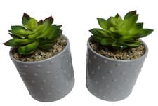 Image of Set of 2 Garden Party Grey Dotted Ceramic Pot for Succulents – Elegant Planter