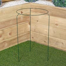 Image of Tom Chambers Urban Metal Herbaceous Garden Plant Support Ring Large 40cm x 60cm