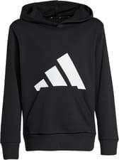 Image of adidas Unisex Kids ESSENTIALS BIG LOGO HOODIE 13-14 Years, Black / White