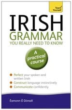 Image of Irish Grammar You Really Need to Know Teach by Eamonn O'Donaill PAPERBACK