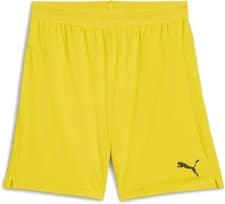 Image of Puma Sport Shorts TeamCUP Shorts 706275