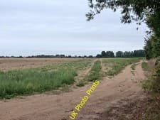 Image of Photo 6x4 Fallow field near Halfway House Farm Great Wakering Over the fa c2015