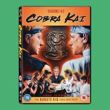 Image of Cobra Kai: Season 1 & 2 DVD Box Set - 4 Discs, 20 Episodes