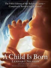 Image of Child Is Born - 9780593157961