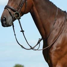 Image of Collegiate Syntovia+ Plain Flat Running Martingale - Brown