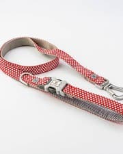 Image of Hugo Hudson Red Stars leash - Small