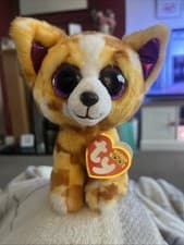 Image of BNWT Ty Beanie Boos Pablo The Chihuahua Dog 6" Sparkle Eyes New Tagged