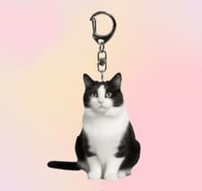 Image of Black And White Cat Keychain With 2D Acrylic Cat Pendant, Double-Sided